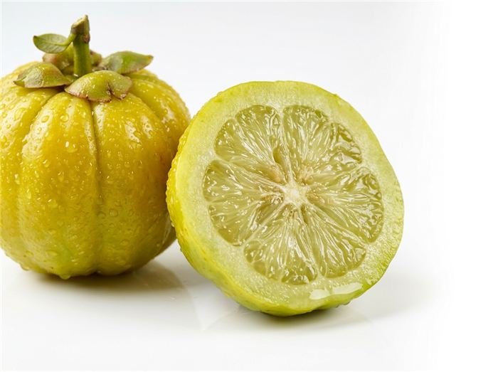 Fruto brindle berry de Garcinia cambogia usado en las barritas de gelatina Hinuki